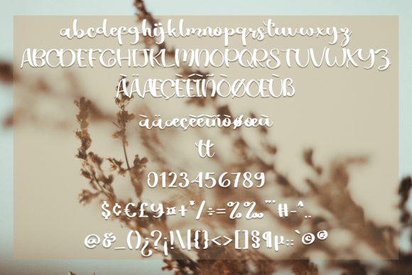 Butterfly Font - Preview 3
