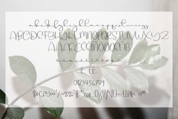 Creative Signature Font - Preview 6
