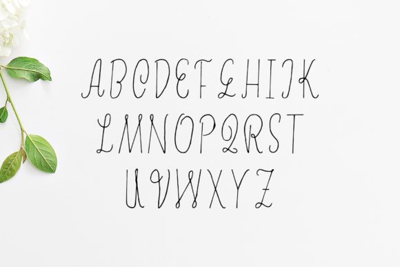 Erica Font - Preview 1
