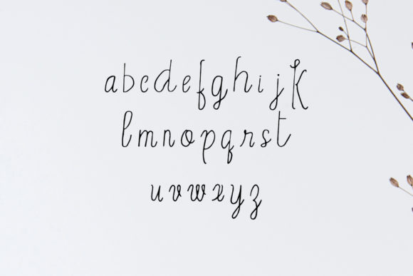 Erica Font - Preview 2