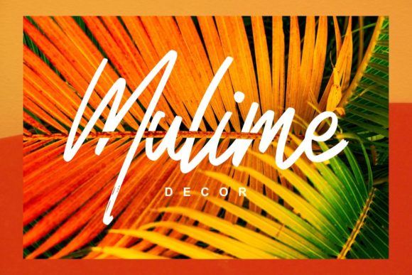 Fuyefa Font PNG with transparent background - Preview 2