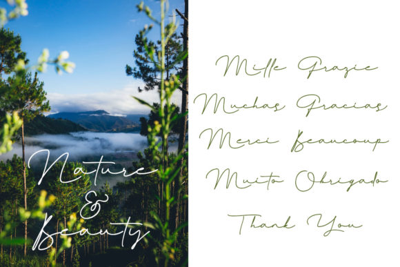 Marionette  Font PNG with transparent background - Preview 3