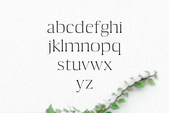 Medric Font PNG with transparent background - Preview 2
