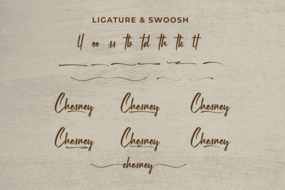 Chesney Font - Preview 5