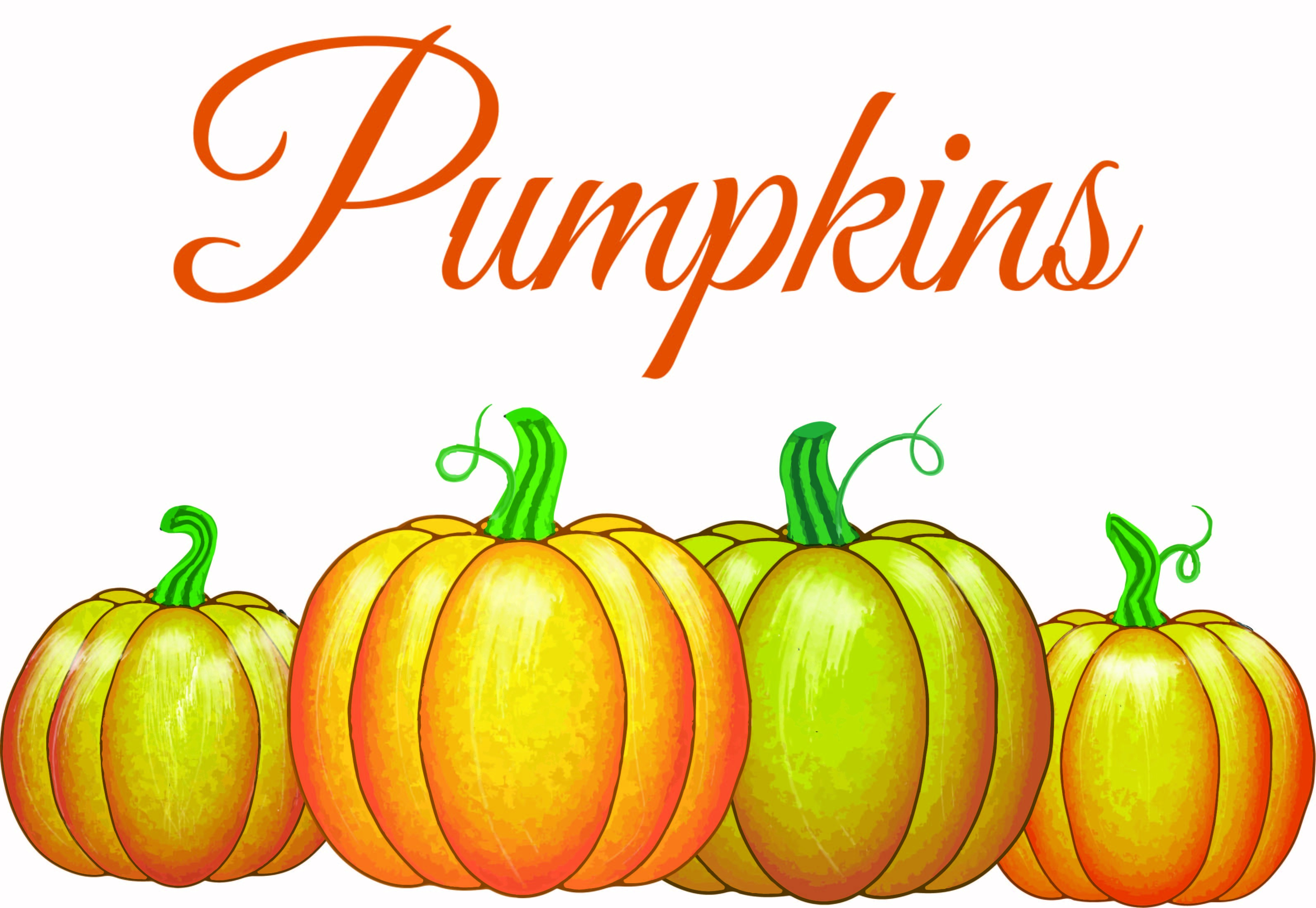 Pumpkin Bundle for Halloween Graphic by Hassas Arts · Creative Fabrica