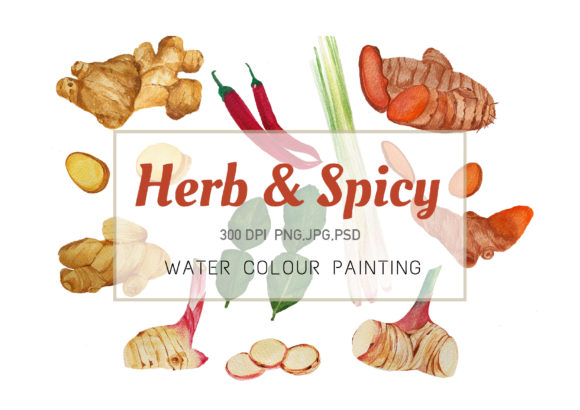 Herb and Spicy Clipart Watercolor Png Graphic Illustrations By chu.mono.pho