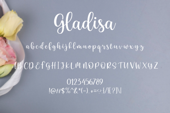 Gladisa Font - Preview 5