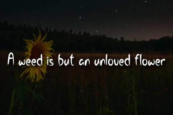 Night Flower Font PNG with transparent background - Preview 1