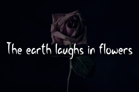 Night Flower Font PNG with transparent background - Preview 2