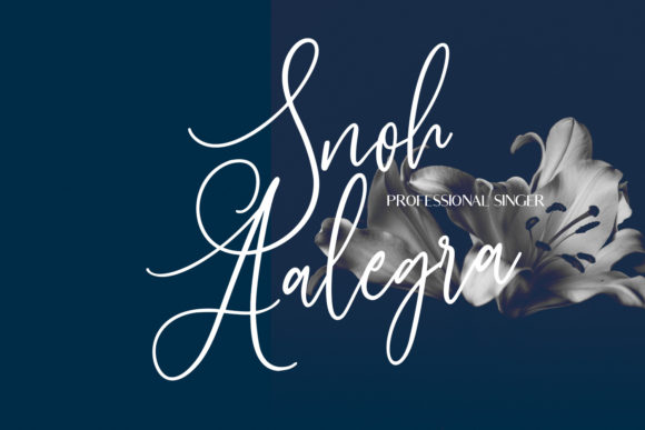 Sallowbliss Font PNG with transparent background - Preview 2