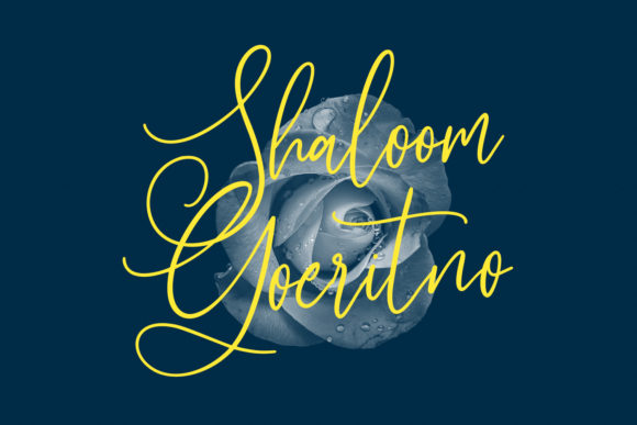 Sallowbliss Font PNG with transparent background - Preview 3