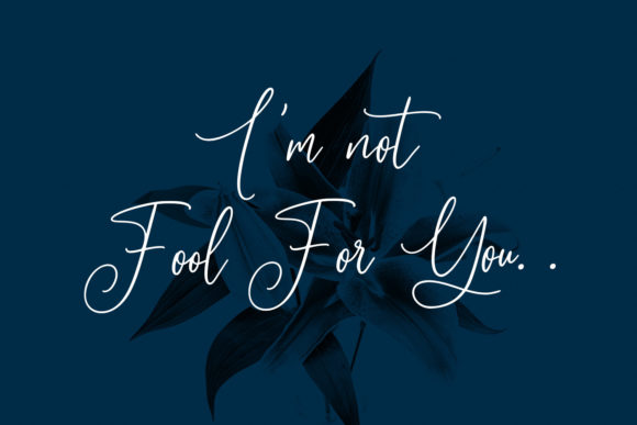 Sallowbliss Font PNG with transparent background - Preview 4