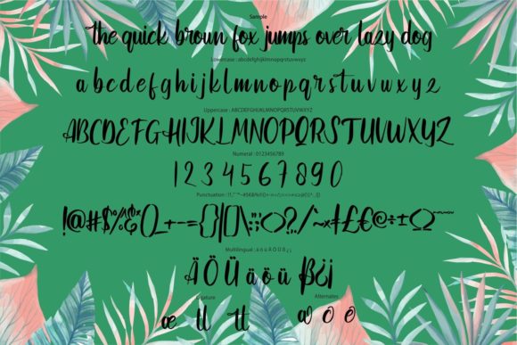 Asikira Font - Preview 5