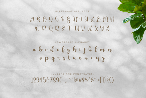 Benedicta Font - Preview 1