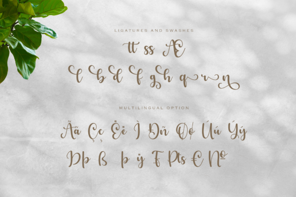 Benedicta Font - Preview 2