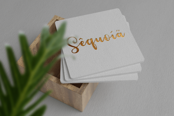 Benedicta Font - Preview 3