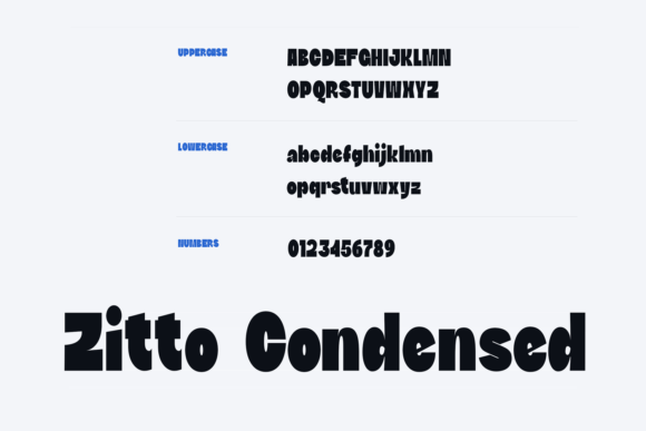 DTF Zitto Condensed Font - Preview 2