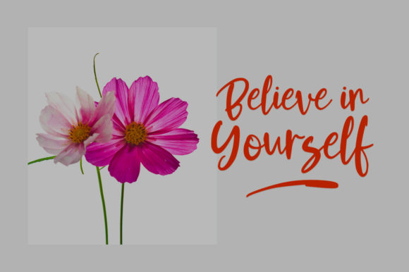 Meyola Font PNG with transparent background - Preview 1