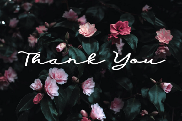 New Signatured Font PNG with transparent background - Preview 5