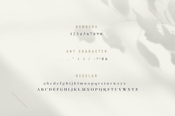 Sernies Font PNG with transparent background - Preview 1
