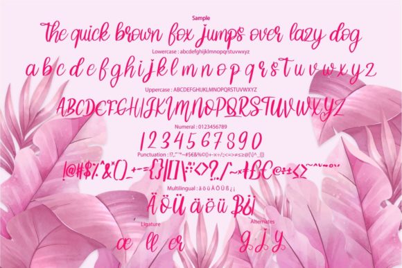Barian Font - Preview 5