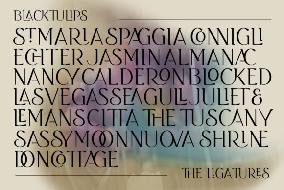 Black Tulip Font - Preview 3