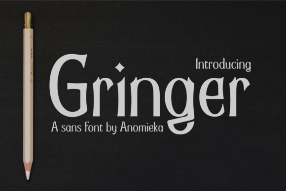 Gringer Serif Font By AnomiEka