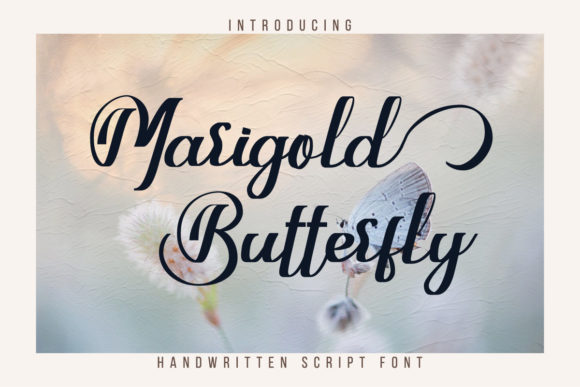 Marigold Butterfly