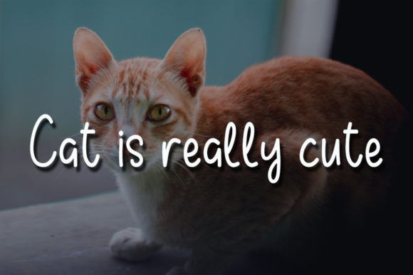 Mellow Meow Font PNG with transparent background - Preview 1