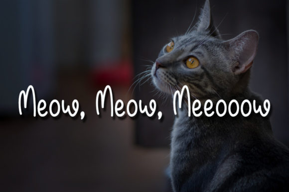 Mellow Meow Font PNG with transparent background - Preview 2