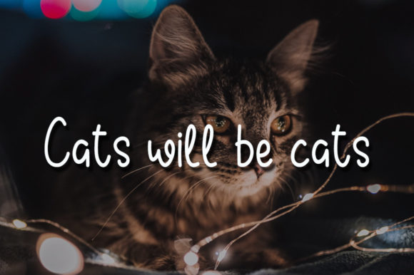 Mellow Meow Font PNG with transparent background - Preview 3