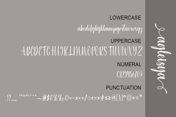 Agleisya Font - Preview 4