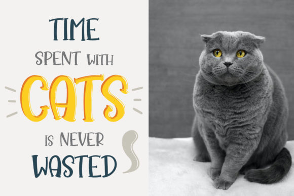 Always Watching Font - Preview 1