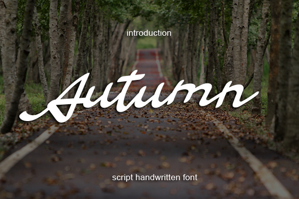 Autumn bold script font — thick brush calligraphy typeface for fall poster headlines