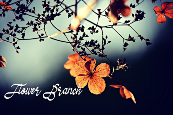 Autumn Font - Preview 1