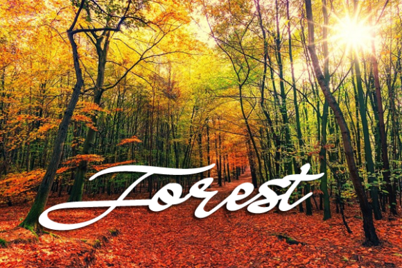 Autumn Font - Preview 3