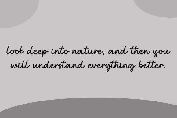 Autumn Holiday Font - Preview 5