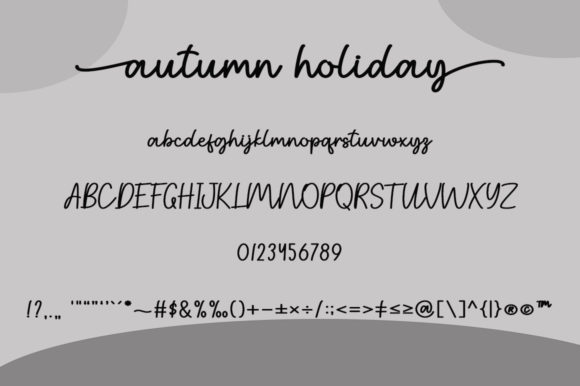 Autumn Holiday Font - Preview 6