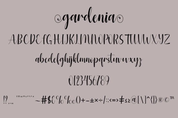 Gardenia Font - Preview 4