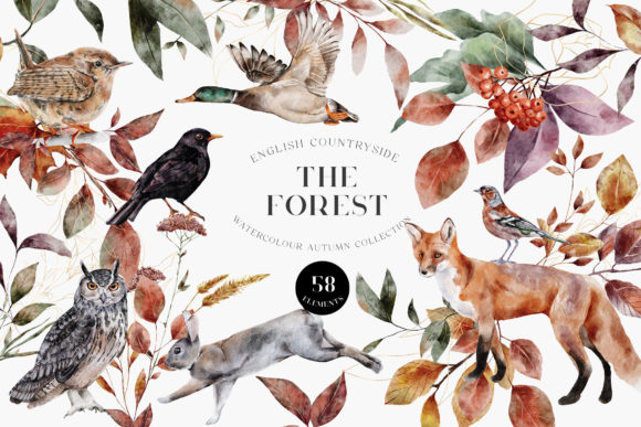 Autumn Forest Animals Watercolor PNG Graphic Illustrations By Busy May Studio
