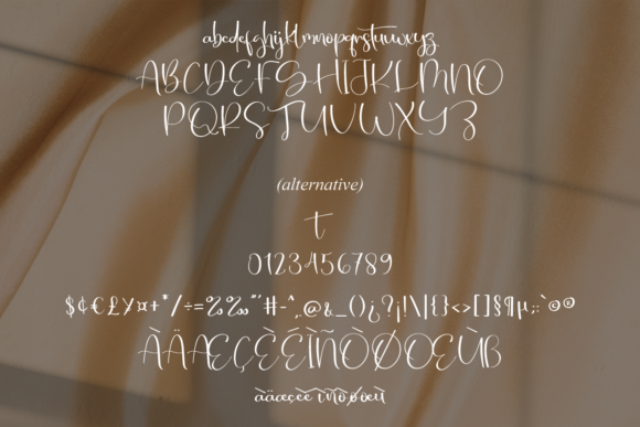 Natural Signature Font PNG with transparent background - Preview 4
