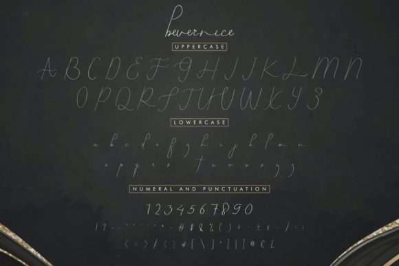 Bevernice Font - Preview 3