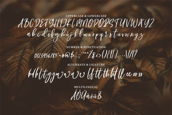 Rikolay Font PNG with transparent background - Preview 5