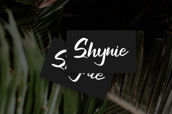 Haditen Script Font - Preview 1