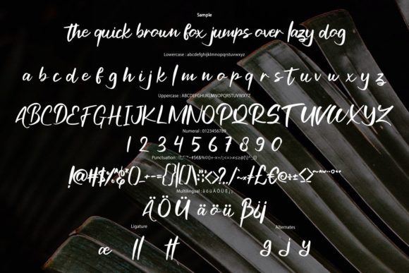 Haditen Script Font - Preview 5