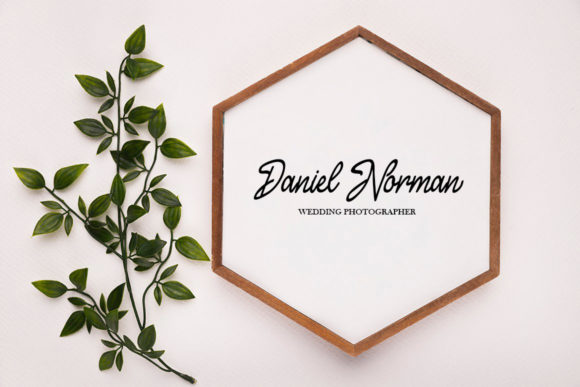 Luxury Vibes Font font preview - 4