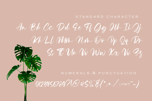 Radella Font PNG with transparent background - Preview 1