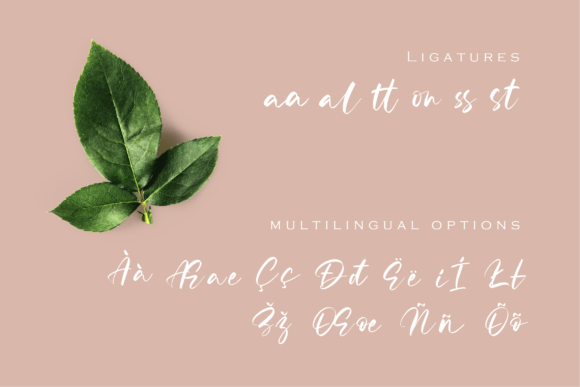 Radella Font PNG with transparent background - Preview 2