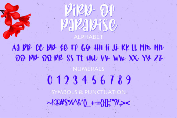 Bird of Paradise Font - Preview 1