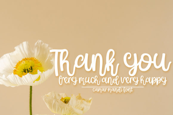 Camar Mandi Font - Preview 4